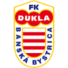 拜斯迪卡
